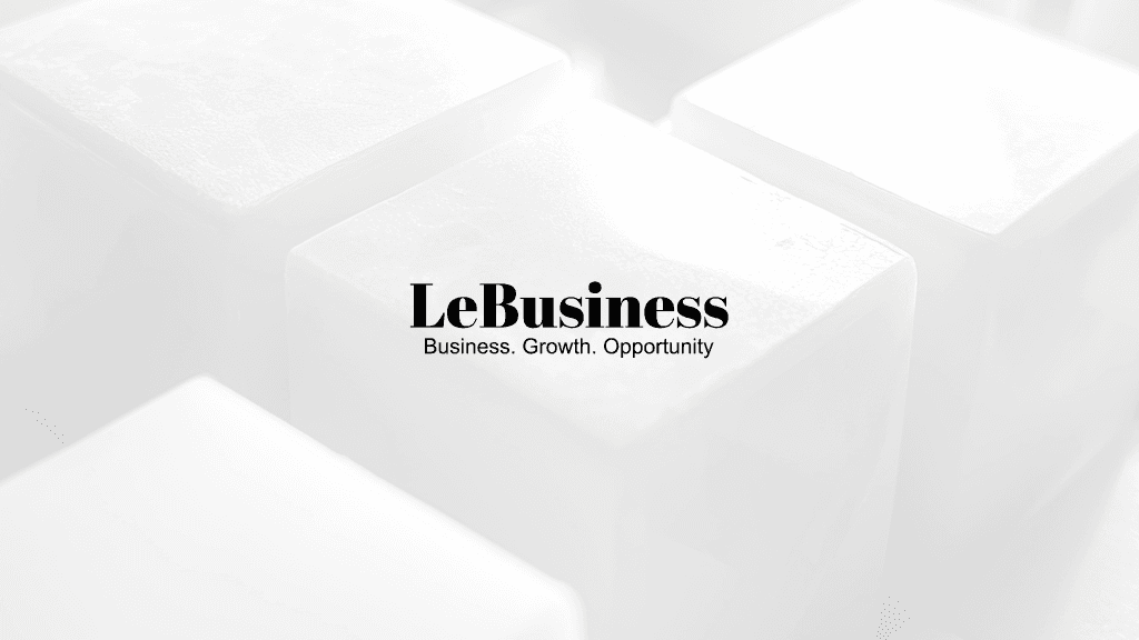 LeBusiness logo