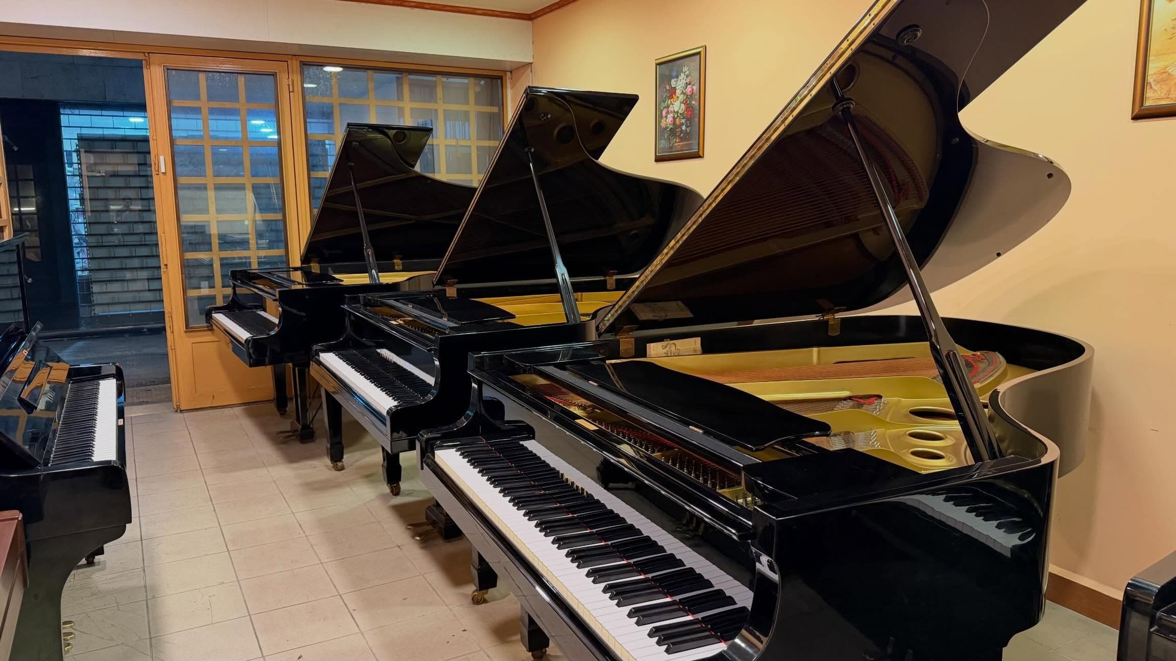 Row of open black grand pianos in the Basbous & Sons showroom in Byblos, Lebanon